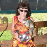 Puerto Plata: Monkey Tour and a Glimpse of Cows and Pigs - Who Should Consider This Tour?