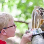 Puerto Plata: Monkeyland and Zip-Line Adventure - Why You Might Love This Tour