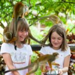 Puerto Plata: Monkeyland Tour - The Sum Up