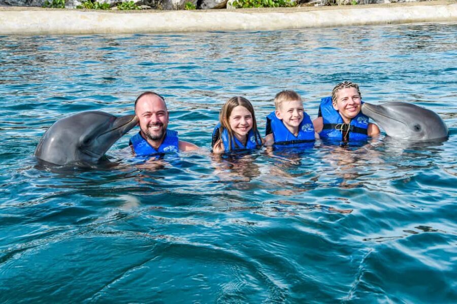Puerto Plata: Ocean World Adventure Park Swim with Dolphins - Authentic insights from reviews