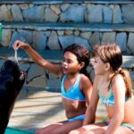 Puerto Plata Ocean World Tickets - What the Reviews Say: Authentic Perspectives