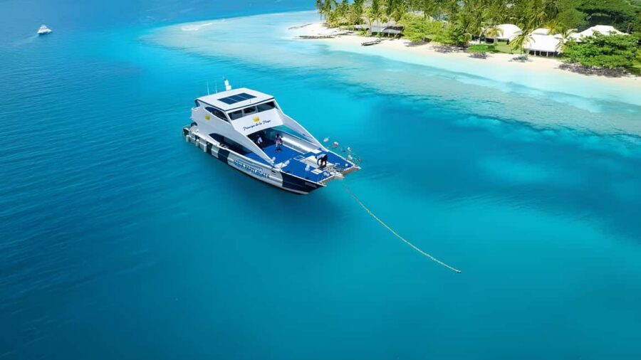 Puerto Plata Private Sunset Catamaran with Open Bar & BBQ - Why This Tour Delivers Good Value