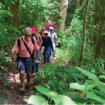 Puerto Plata Rejoya River Excursion Amber Cove Taino Bay Hotels - Who Will Love This Tour?