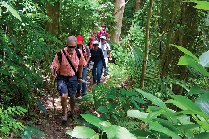 Puerto Plata Rejoya River Excursion Amber Cove Taino Bay Hotels - Who Will Love This Tour?