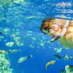 Puerto Plata: Sosúa Bay Snorkeling Tour with Guide - What Makes This Tour Special?