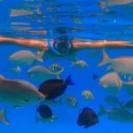 Puerto Plata: Sosúa Bay Snorkeling Tour with Transfers - The Sum Up