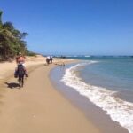 Puerto Plata: Sunset Beach Horseback Riding - The Experience in Detail
