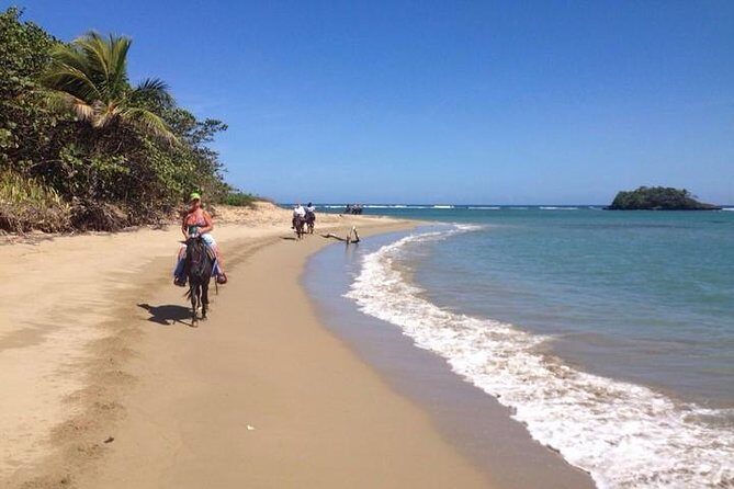 Puerto Plata: Sunset Beach Horseback Riding - The Experience in Detail