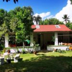 Puerto Plata: Taino Valley and Dominican Flavor Experience - Practical Details and Tips for Travelers