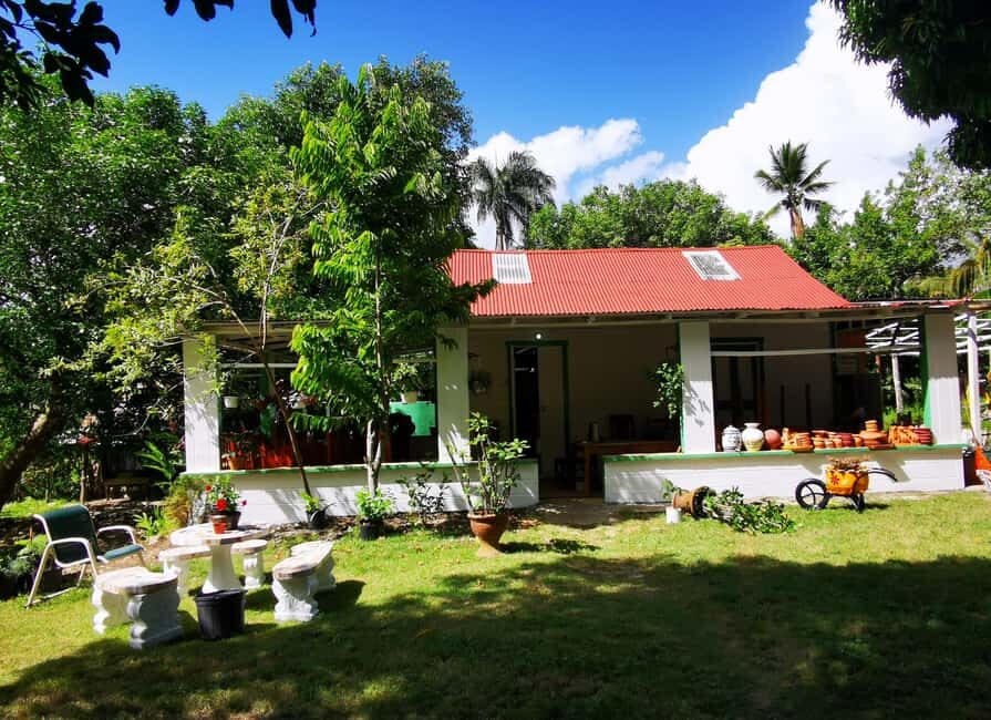 Puerto Plata: Taino Valley and Dominican Flavor Experience - Practical Details and Tips for Travelers