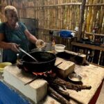 Puerto Plata VIP Experience : City & Countryside Escape - Who Is This Tour Best For?