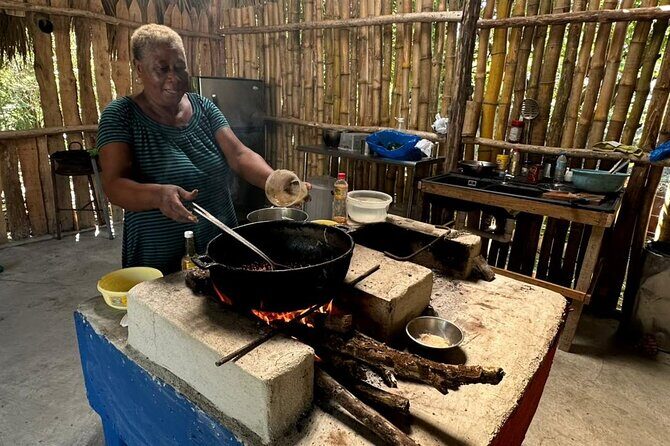 Puerto Plata VIP Experience : City & Countryside Escape - Who Is This Tour Best For?