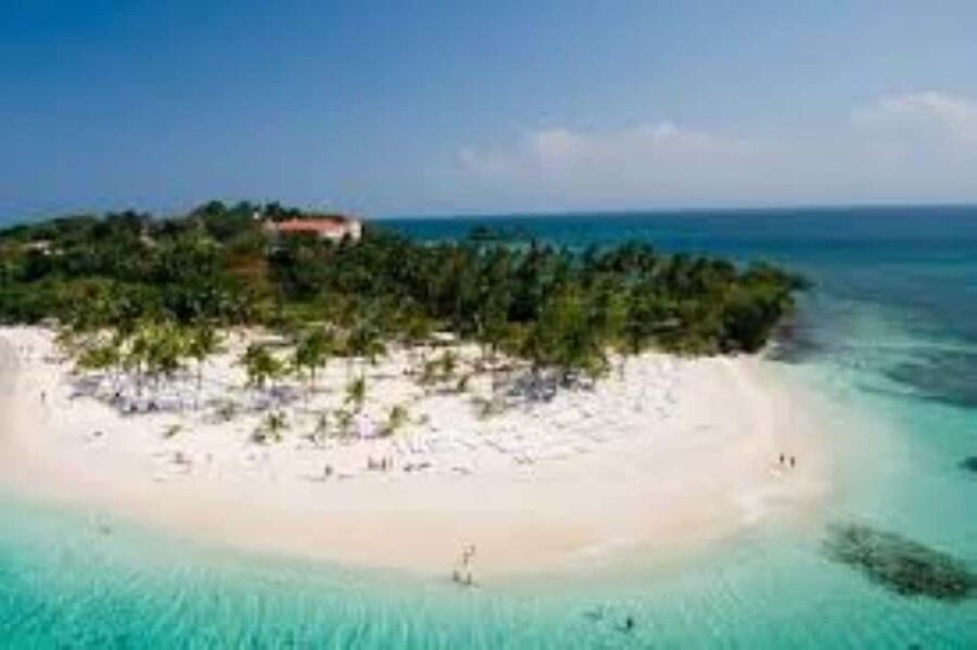 Puerto Plata: Whale Watching & Bacardi Island Day Trip - The Sum Up