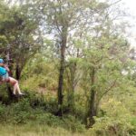Puerto Plata Zipline Adventure - Who Is This Tour Best Suited For?