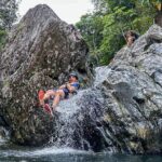 Puerto Rico El Yunque Rainforest with Transportation - How We Experience El Yunque Rainforest: A Deep Dive
