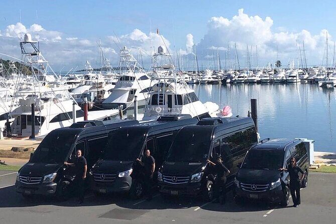 Puerto Rico Island Wide Private Transfers, 11Pax Lux Sprinter Van - Who Should Consider This Service?