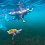 Puerto Rico Jet Snorkel with Turtles and Videos in San Juan - Who Should Book This Tour?