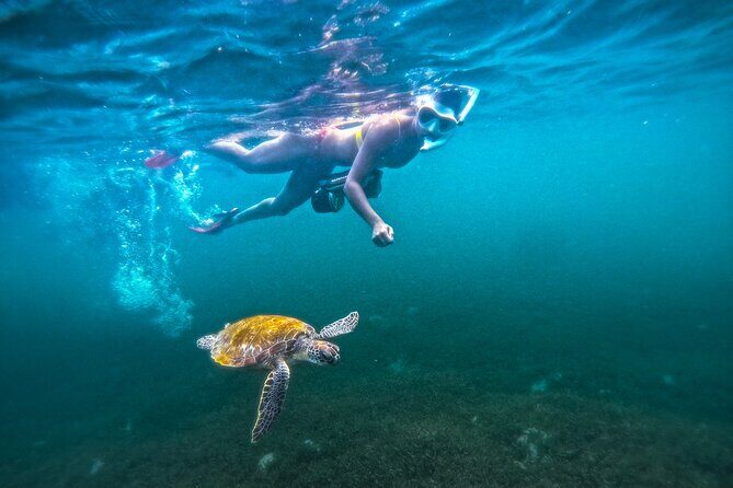Puerto Rico Jet Snorkel with Turtles and Videos in San Juan - Who Should Book This Tour?