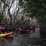 Puerto Rico Sunset Magic: Bio Bay Kayaking Tour from Fajardo - Final Thoughts