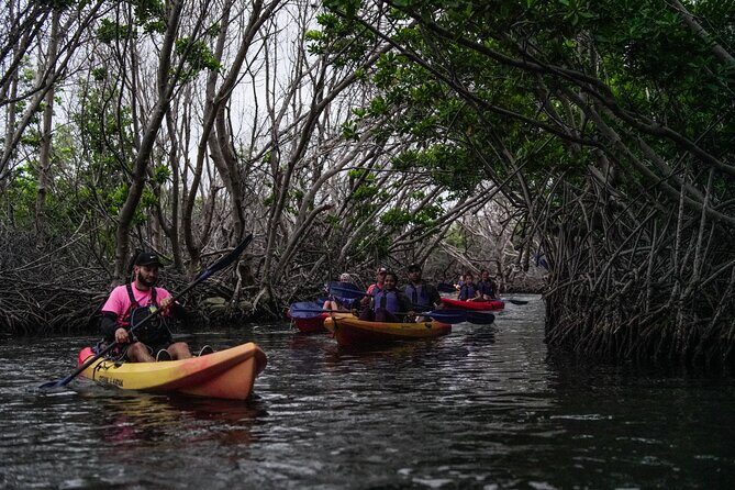 Puerto Rico Sunset Magic: Bio Bay Kayaking Tour from Fajardo