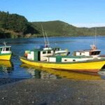 Puerto Varas: Puerto Montt & Puerto Varas Private City Tour - What Makes This Tour Stand Out?