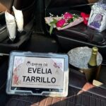 PUJ-Bavaro/Punta Cana (ONE WAY) LUXURY - In-Depth Review: Why This Transfer Stands Out