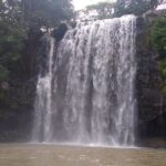 Pumas Rescue Center & Llanos Del Cortes Waterfall Swimming - Who Will Love This Tour?