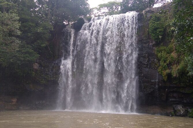 Pumas Rescue Center & Llanos Del Cortes Waterfall Swimming - Who Will Love This Tour?