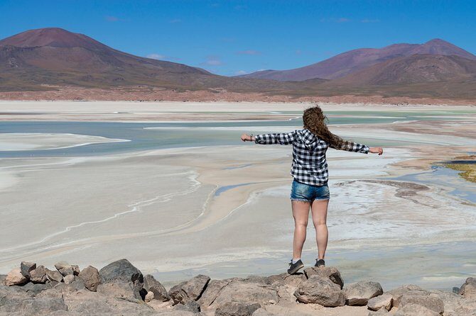 Puna Salt Flats - Full Day Tour - San Pedro de Atacama - Must Visit - The Sum Up
