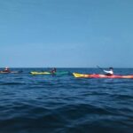 Punta Arena Excursion Kayak - Final Thoughts