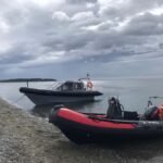 Punta Arenas: Dolphin & Wildlife Watching - What’s Included and What’s Not