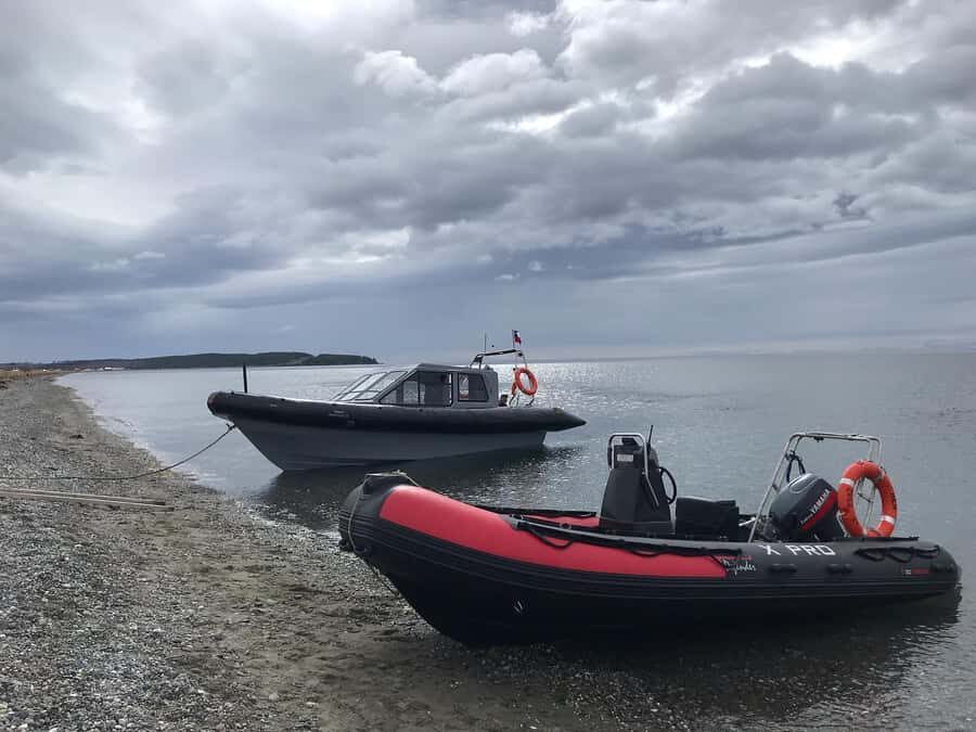 Punta Arenas: Dolphin & Wildlife Watching - What’s Included and What’s Not