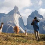 Punta Arenas: Full Day Torres del Paine + Milodon Cave - Who Will Love This Tour?