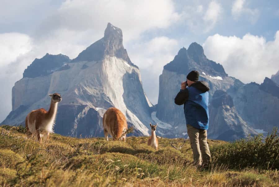 Punta Arenas: Full Day Torres del Paine + Milodon Cave - Who Will Love This Tour?