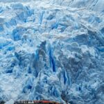 Punta Arenas: Full-Day Whales, Penguins, and Glaciers Tour - The Wildlife & Scenery — Why It Matters