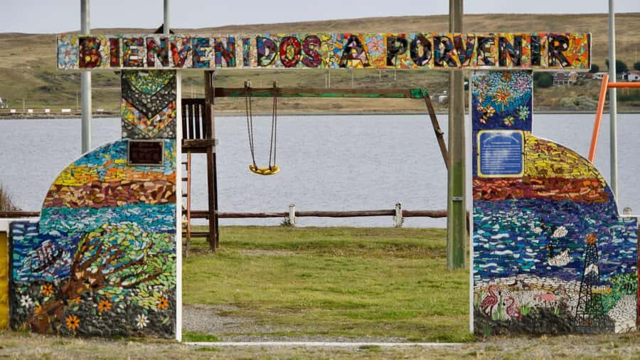 Punta Arenas: King Penguin Park and Tierra del Fuego Trip - Authentic Reviews: What Travelers Say