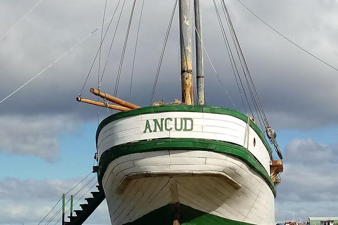 Punta Arenas & Strait of Magellan Park Value Excursion - The Sum Up: Is It Worth It?