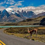 Punta Arenas: Torres del Paine & Grey Glacier Full-Day Boat - Who Would Love This Tour?