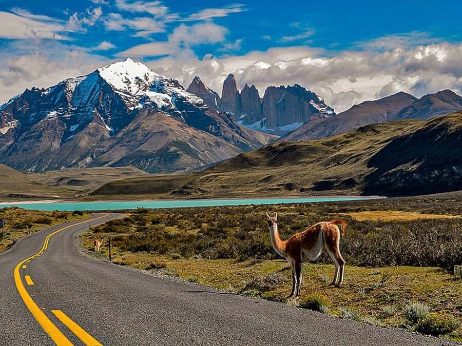 Punta Arenas: Torres del Paine & Grey Glacier Full-Day Boat - Who Would Love This Tour?