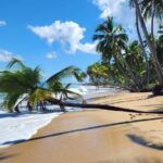 Punta Cana: Amazing ATV Adventure Private Road & Beach W/ PickUp - Authenticity and the Real Experience