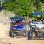 Punta Cana: Amazing Buggy Polaris and 4wheels - Who Should Consider This Tour?