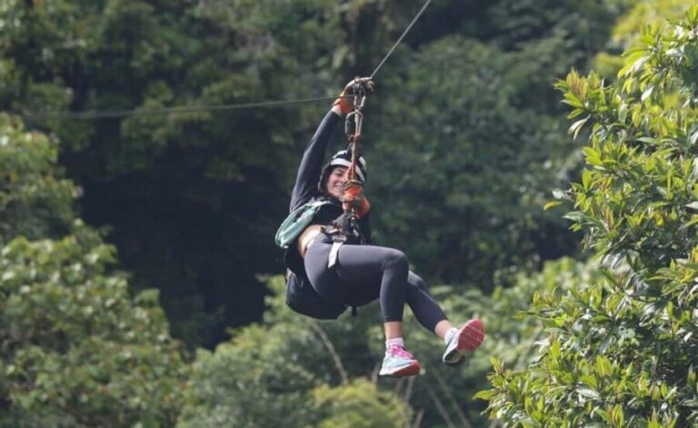 Punta Cana: ATV Tour, Cenote Swim, and Dinner - A Detailed Look at the Tour Experience