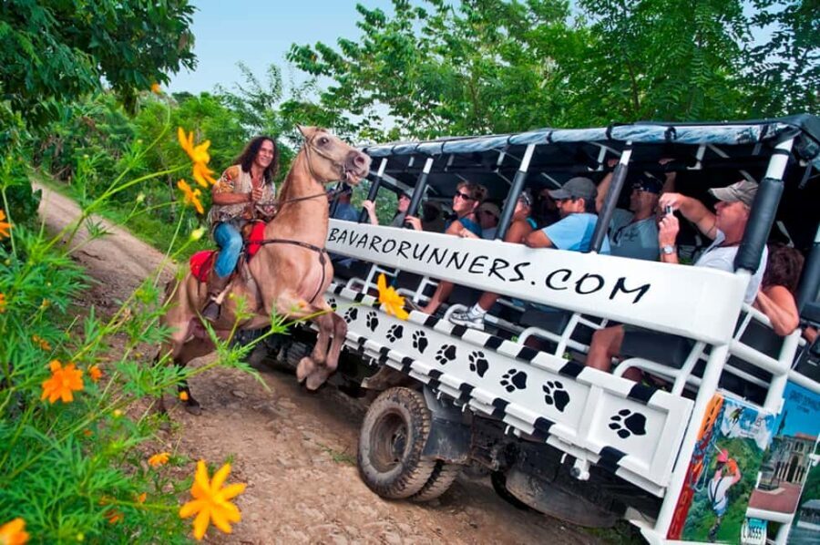 Punta Cana: Bavaro Runners Safari Tour - A Detailed Look at the Bavaro Runners Safari Tour