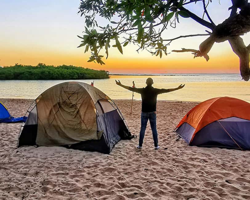 Punta Cana: Beach Camping with Dinner and Drinks - Who Will Enjoy This Tour Most?