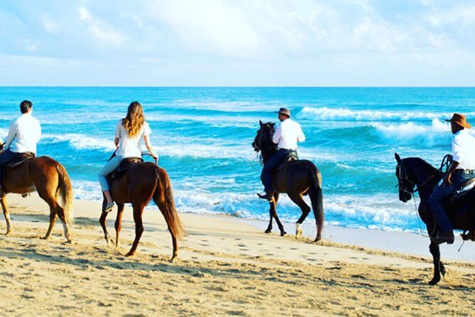 Punta Cana Beach Horseback Riding - FAQ