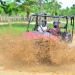 Punta Cana: Buggies and 4-Wheels  Off-Road Adventure - The Vehicles and Their Appeal