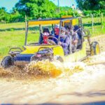 Punta Cana: Buggy or ATV Tour with Macao Beach Visit - What to Expect on the Tour