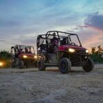 Punta Cana Buggy Ride, Dinner and Taino Party - Who Will Love This Tour?