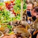 Punta Cana Buggy Tours Cenote Cave, Beach - FAQ: Practical Questions About the Tour