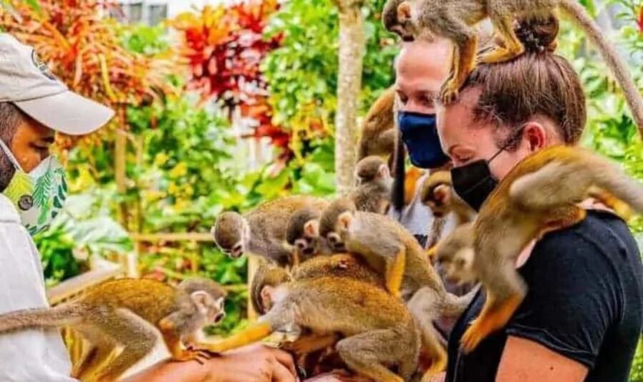 Punta Cana Buggy Tours Cenote Cave, Beach - FAQ: Practical Questions About the Tour